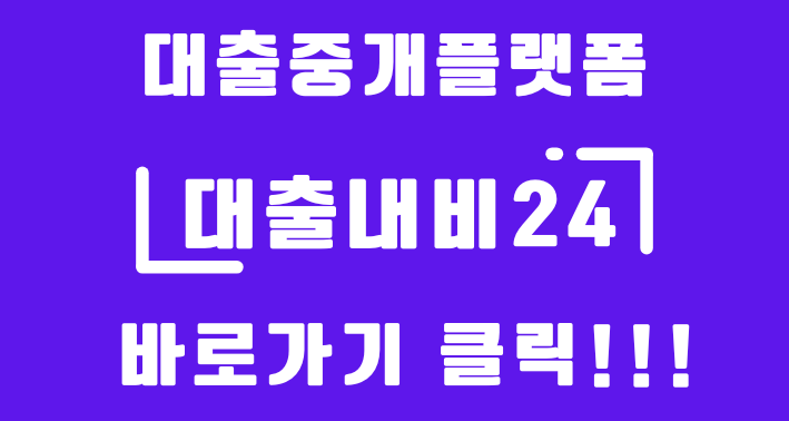 대출내비24